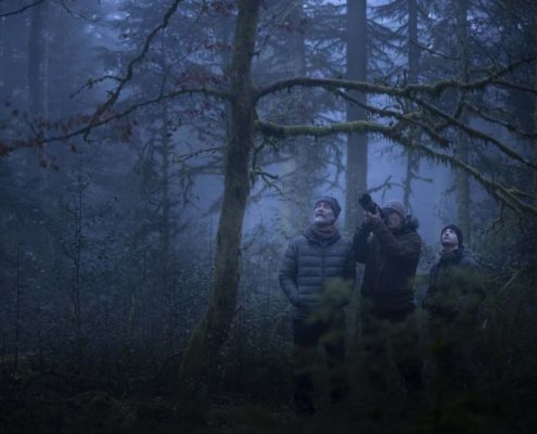 chant-des-forets-2-691b0bf314bc4501669012