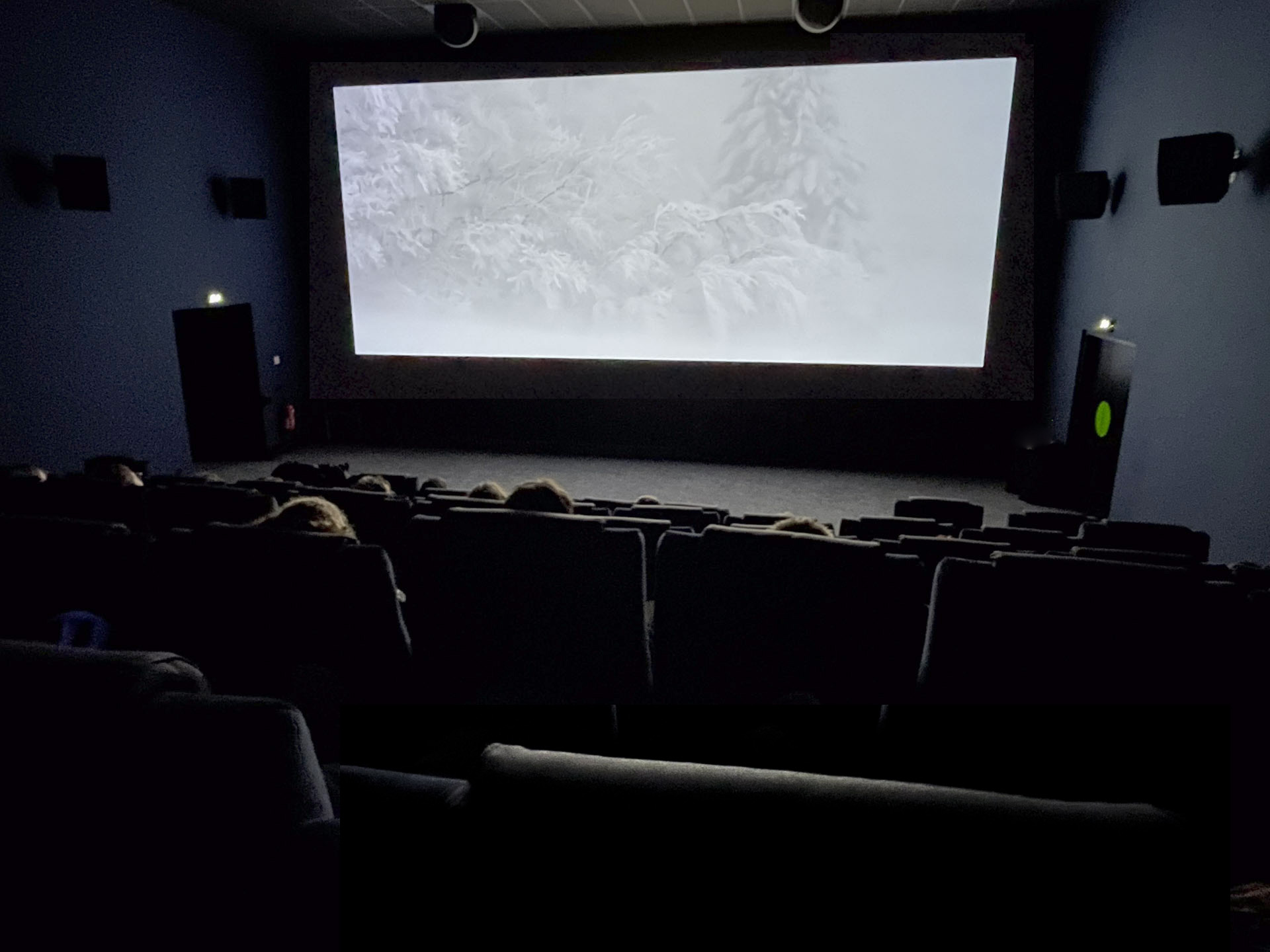 cine-chant-des-forêts_2026-2